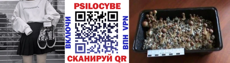Псилоцибиновые грибы прущие грибы  Южа 